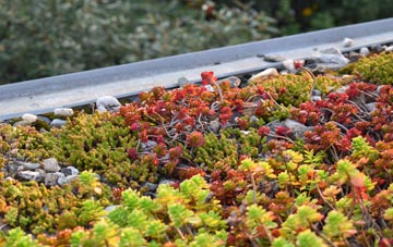 the cost of Enmore Green green roof installation