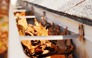 Enmore Green gutter cleaning companies