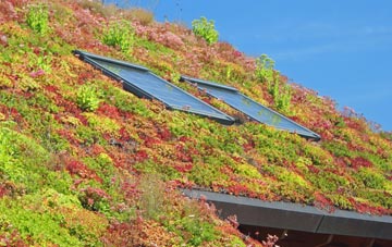 Enmore Green living roof systems