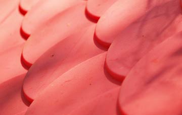 Enmore Green plastic roof costs