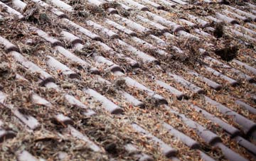 Enmore Green roof cleaning companies