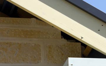soffit repair Enmore Green