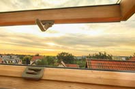 rated Enmore Green roof window companies