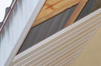 rated Enmore Green soffit repair companies